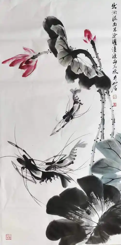 作品欣赏:赵井如画虾已有几十年,早已炉火纯青,但他