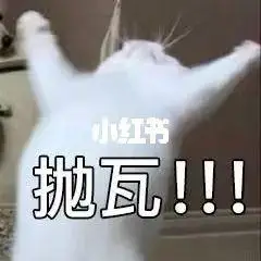 美好火腿肠,大肠包小肠,当当不一样