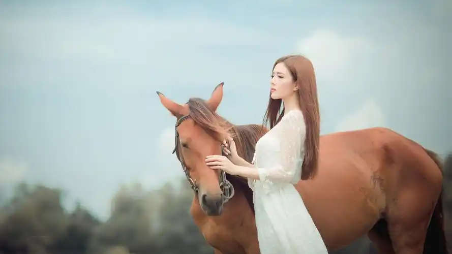 漂亮女孩美女和棕色马4k壁纸3840x2160