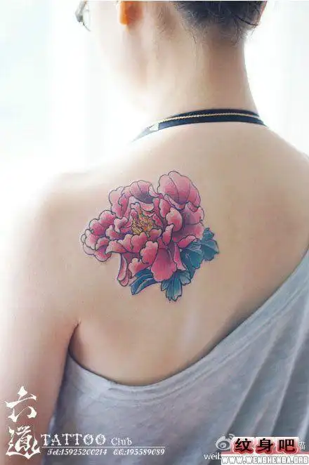 女生后背漂亮牡丹花纹身作品