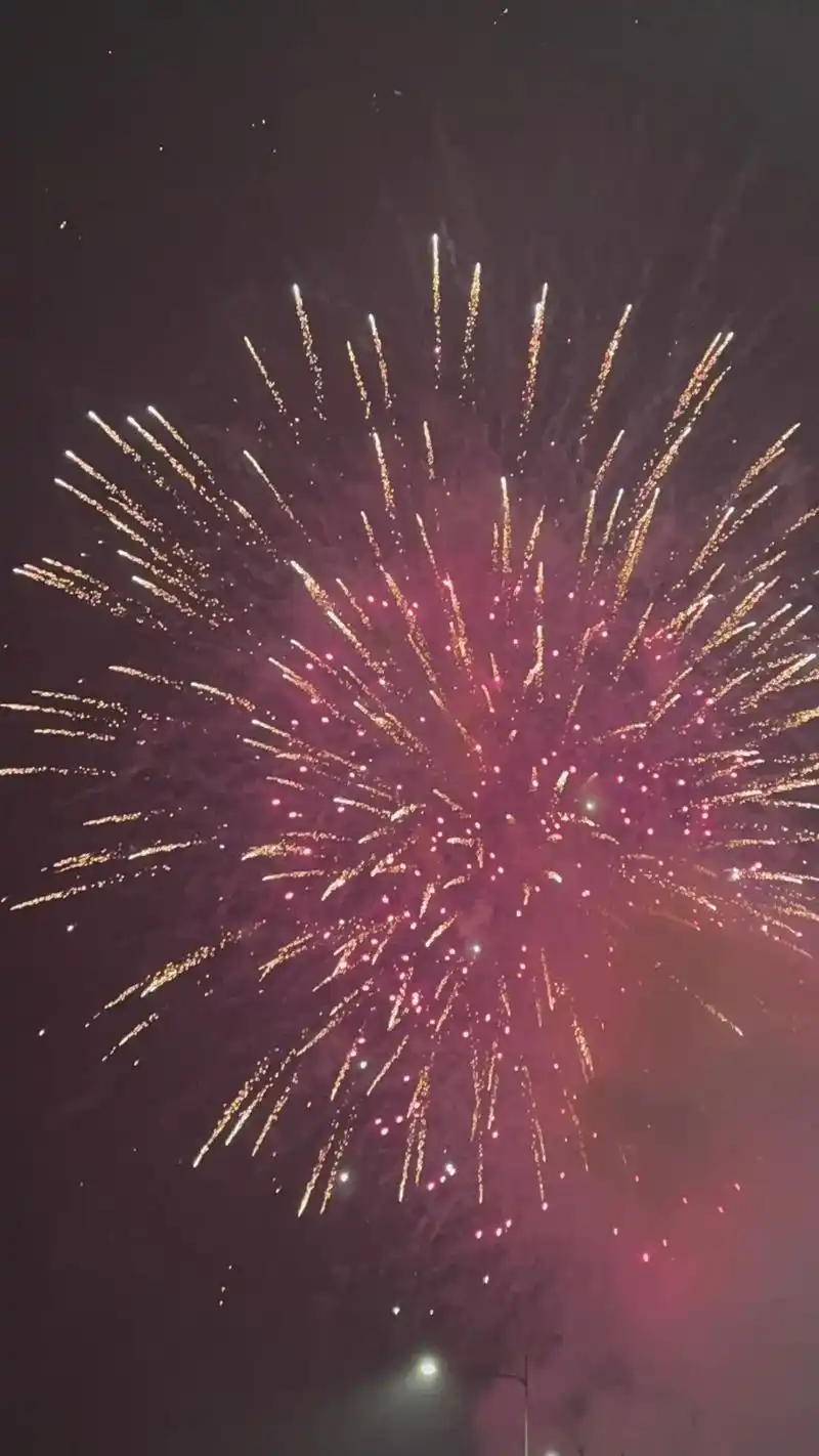 为美好的未来点赞91.#歌曲这城市的风好大@#让最美的烟花带 - 抖音