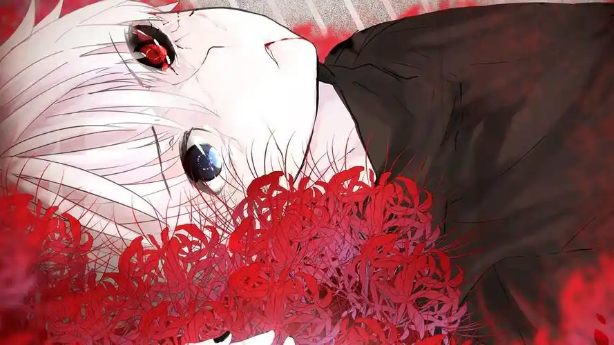 《东京喰种》白发男主金木研高清壁纸-卡通动漫-手机壁纸下载-美桌网