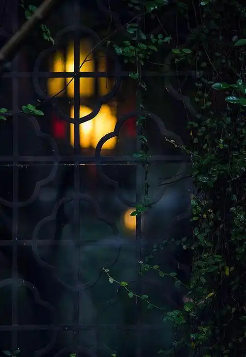 中国窗这样拍美醉了