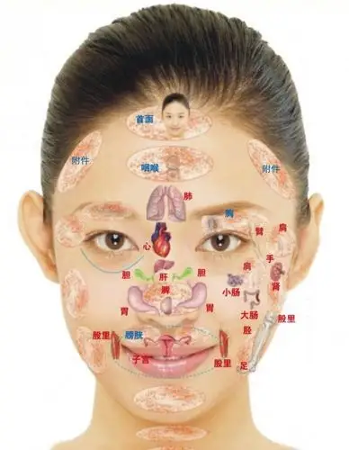 其它 中医理论基础——面诊,舌诊 写美篇三,面部全息,反射区,正常孩子