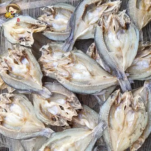 鲈鱼干 跑江湖展会地摊深海鲈鱼干开边鲈鱼干干鱼海产品干货