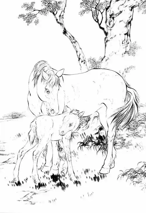 国画《骏马图》高清白描底稿15幅,一马当先,马到成功