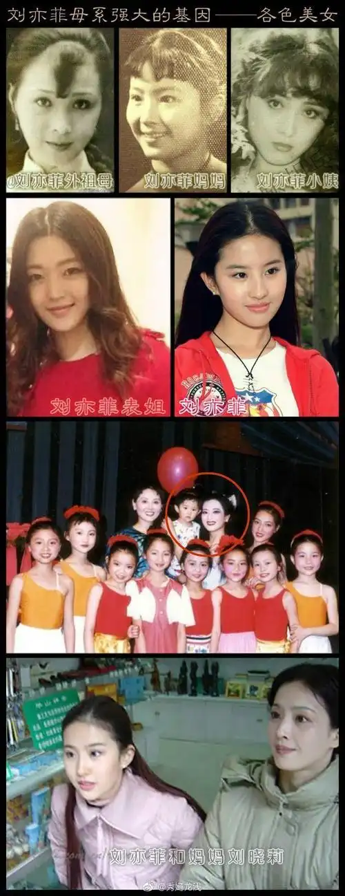 刘亦菲 "全家最丑刘亦菲"