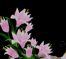 298_267gif 动态图 动图