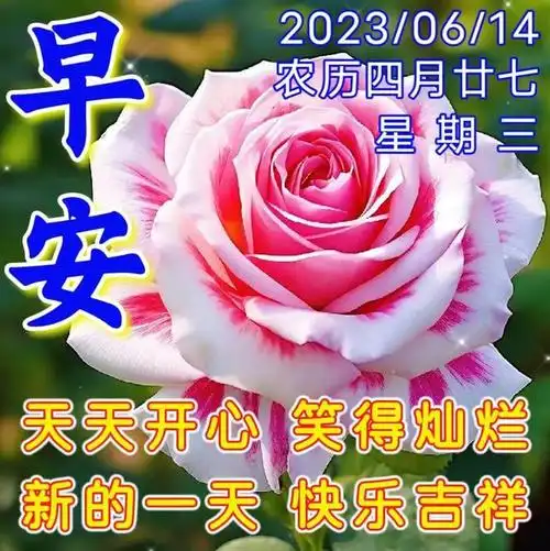 早上好|好心情_网易订阅