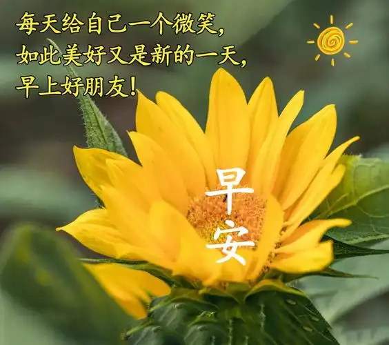 最美清晨问候早安的图片带字 最美最暖心的早安图片_什么