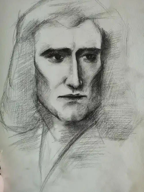 在学校随手画的牛顿 愿所有人物理不挂科