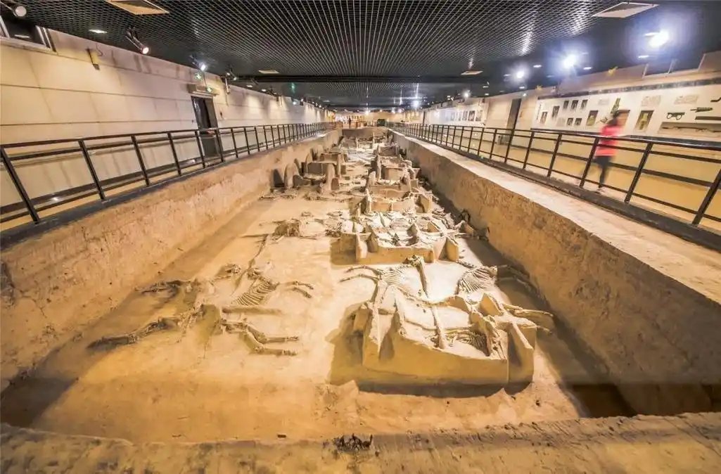 19日起,洛阳这里夜间开放啦!_网易订阅