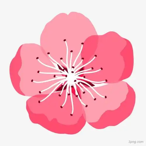 水彩桃花png素材透明免抠图片-装饰效果