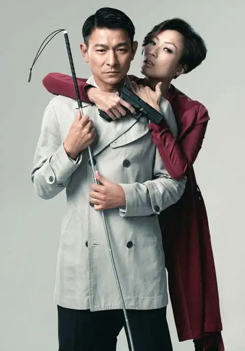 杜琪峰,韦家辉联合执导,刘德华, 郑秀文,高圆圆,郭涛等主演的年度high