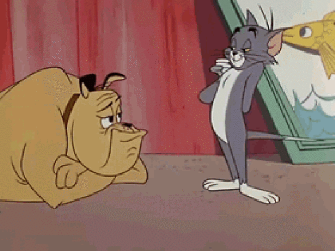 动漫gif猫和老鼠gif搞怪gif搞笑gif