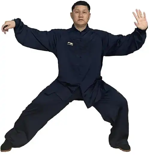 陈式太极拳老架一路经典动作定式展示及练习要领