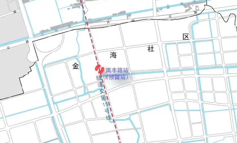 官方表态了!_奉贤区_规划_上海市