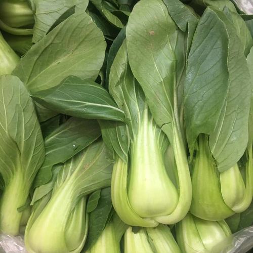 远东春生生鲜新鲜蔬菜小油菜一斤京津冀68包邮叶菜类