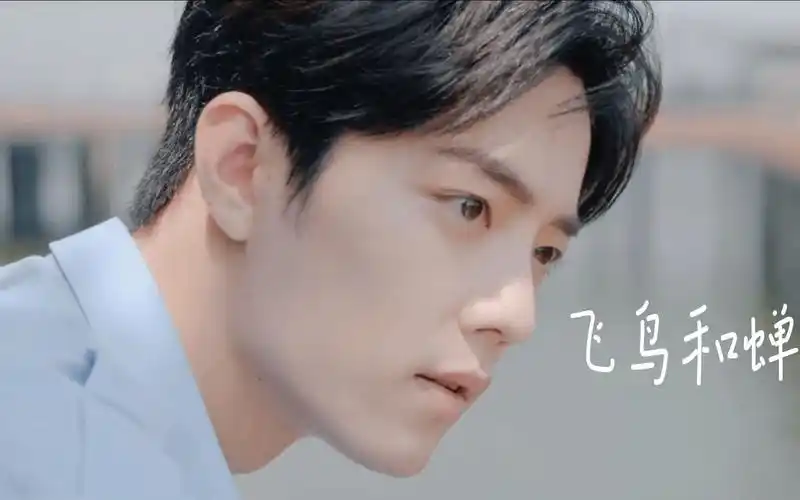 肖战|飞鸟和蝉 |治愈 "吹远默念的侧脸,吹远鸣唱的诗篇"