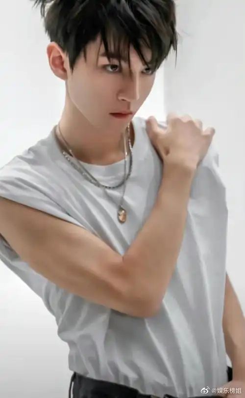 王一博,王鹤棣,吴磊,王俊凯,许凯,陈星旭,侯明昊,陈哲远,陈飞宇等等