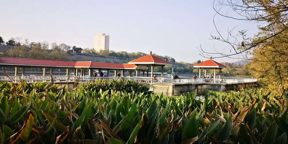 南京月牙湖公园