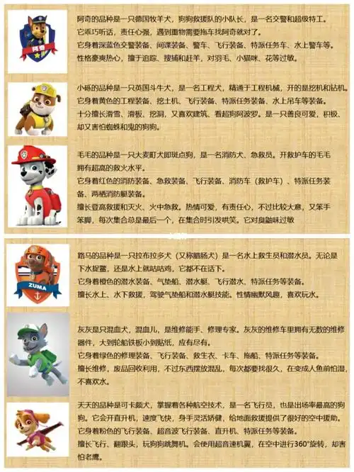 为了宝宝认真了解了汪汪队各个狗狗的介绍