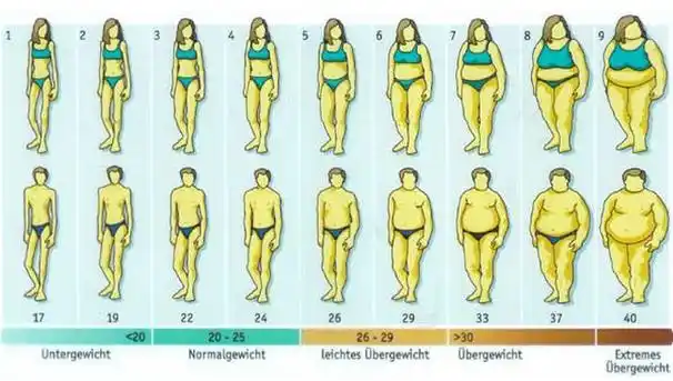 才是女人最美的身材!