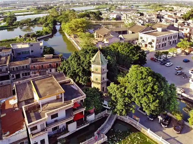 美丽宜居新农村,宜业宜游幸福地 番禺区推动乡村振兴战略向纵深发展