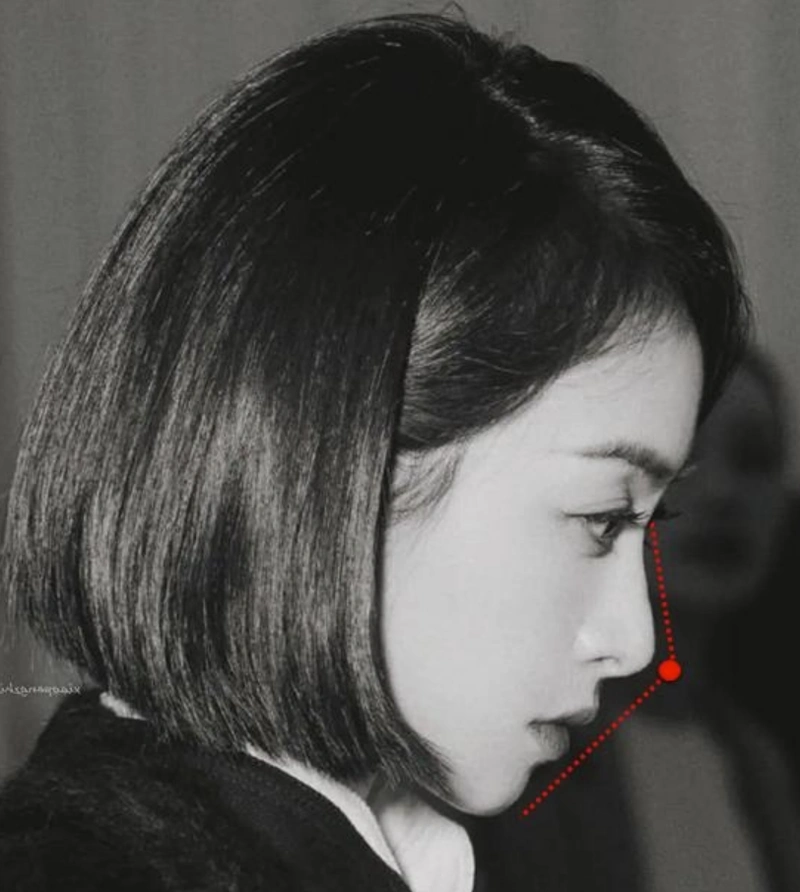 不同面型的侧面审美