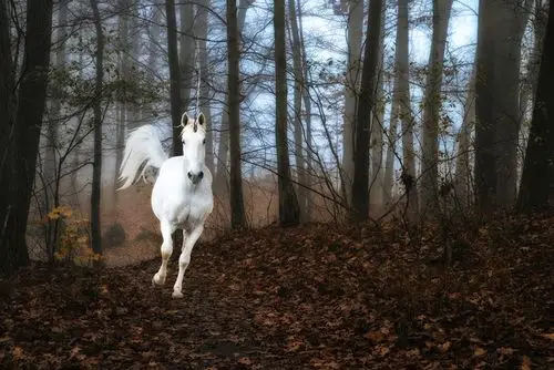 幻想动物,独角兽,马匹,跑步,奇幻作品,动物壁纸,照片,下载