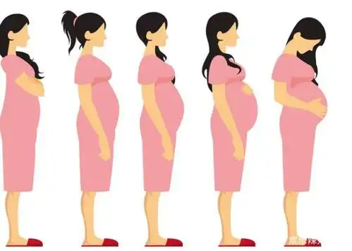 孕妈出现这3个"肚子变化",很可能是在孕育"小王子",你有吗