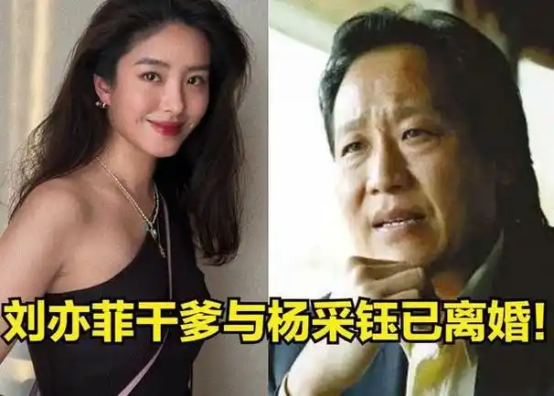 刘亦菲干爹陈金飞带新欢买首饰紧搂怀里热聊杨采钰风光已不在