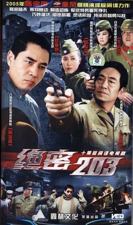 十集反间谍电视剧 绝密203十碟装(vcd)