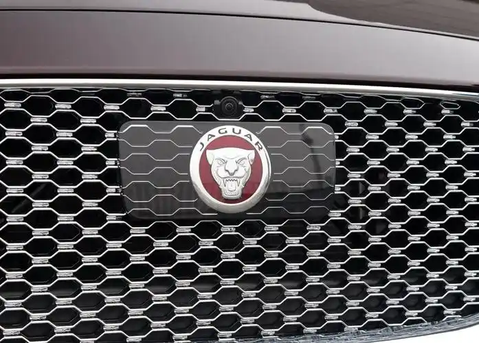 全球最美的十款车标排行榜出炉,网友:女生们哪款都喜欢