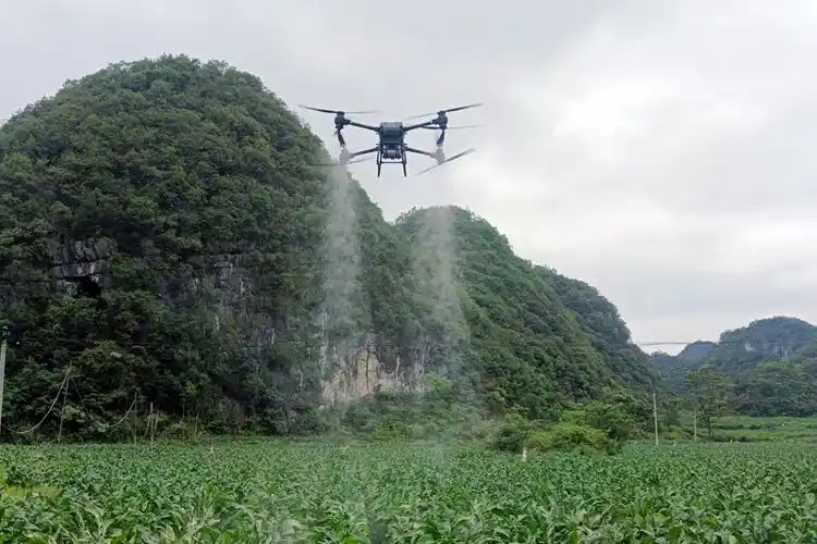 图为无人机正在喷洒农药.覃兴福摄