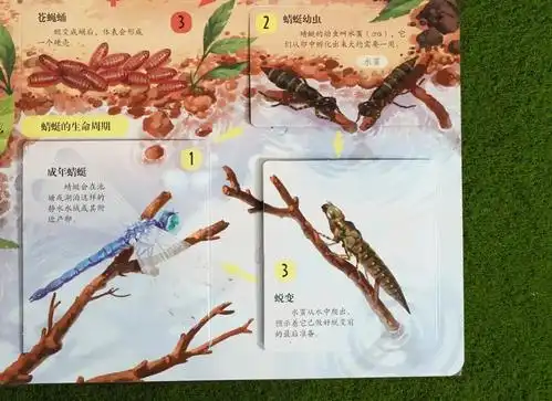 太绝!这部高分法国纪录片,孩子看三遍都不够