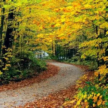 的风景大气招财头像 很有质感很精致的风景招财头像_风景头像_美头网