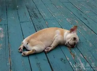 第五次呢?一命呜呼?(@zouhero)