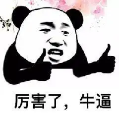 厉害了,牛逼