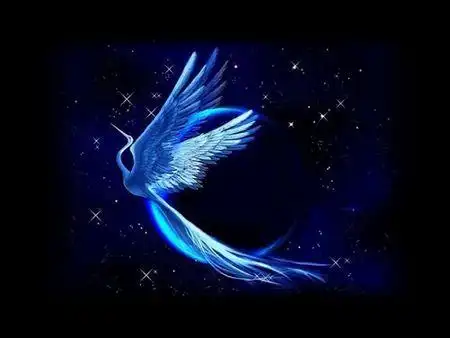 蓝色凤凰图片大全真实照片 蓝色凤凰