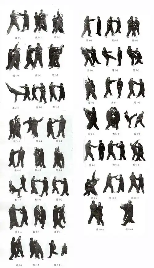 八卦掌实战技法——程式十招——麻林城 林述兴