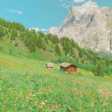 绝美心旷神怡大自然的风景头像图片