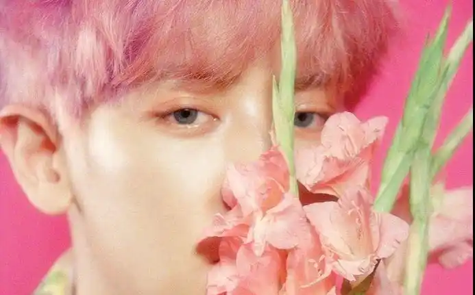 【朴灿烈】ko ko bop预告二则