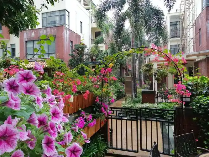 生活 诗意地栖居(我家的小花园) 写美篇亲,带你们参观一下我的小花园