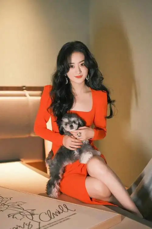 赵丽颖的演技越来越好了,出演的影视作品都比较受欢迎,这不,新剧《风