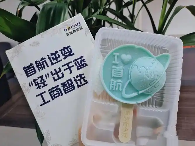 没有中间商赚差价,认准源头厂家#文创雪糕  #网红雪糕  #雪糕  #源头