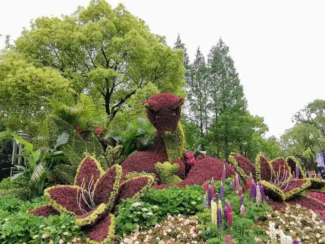 上海植物园花展