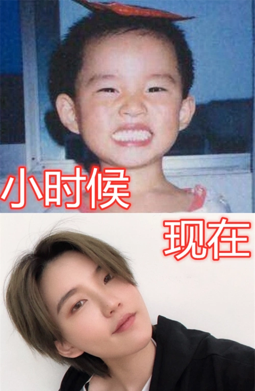 陆柯燃几几年的今年多大了(陆柯燃个人资料年龄)