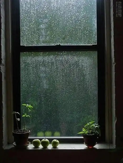 【诗词鉴赏】夏天的雨夜,雨夜的诗,带来了几丝凉意,几丝诗意!