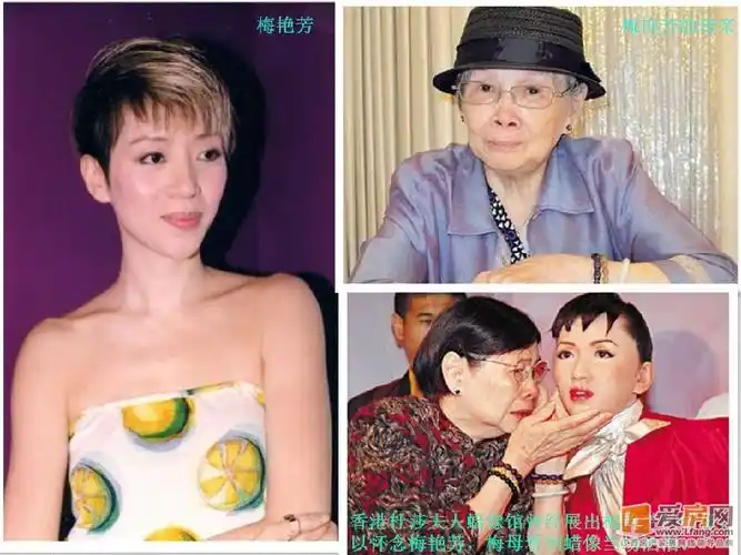 梅艳芳遗嘱公开 天价房产送好友梅妈不能自理